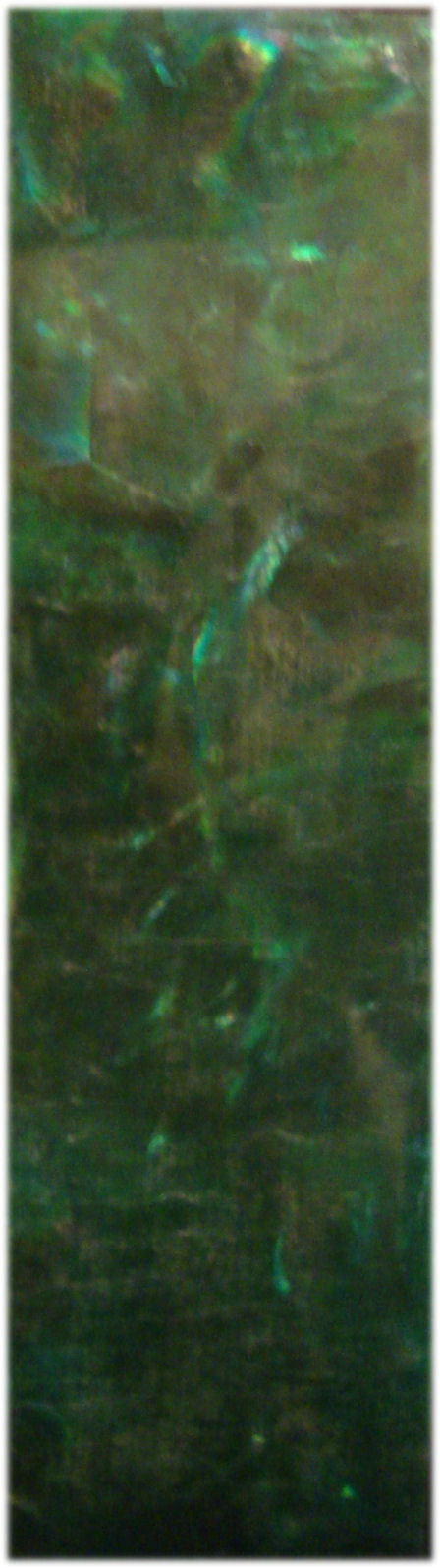 Scaglie madreperla adesive verde