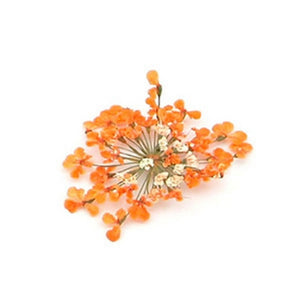 Fiorellini secchi ciuffo arancio
