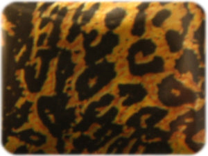 Foil cheetac