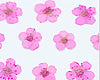 Fiorellini secchi petali rosa