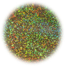 Glitter oro hologram