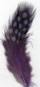 Confezione piumette viola pois