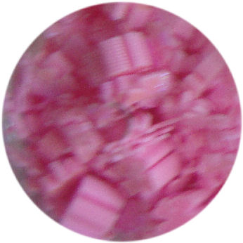 Quadrifoglio rosa